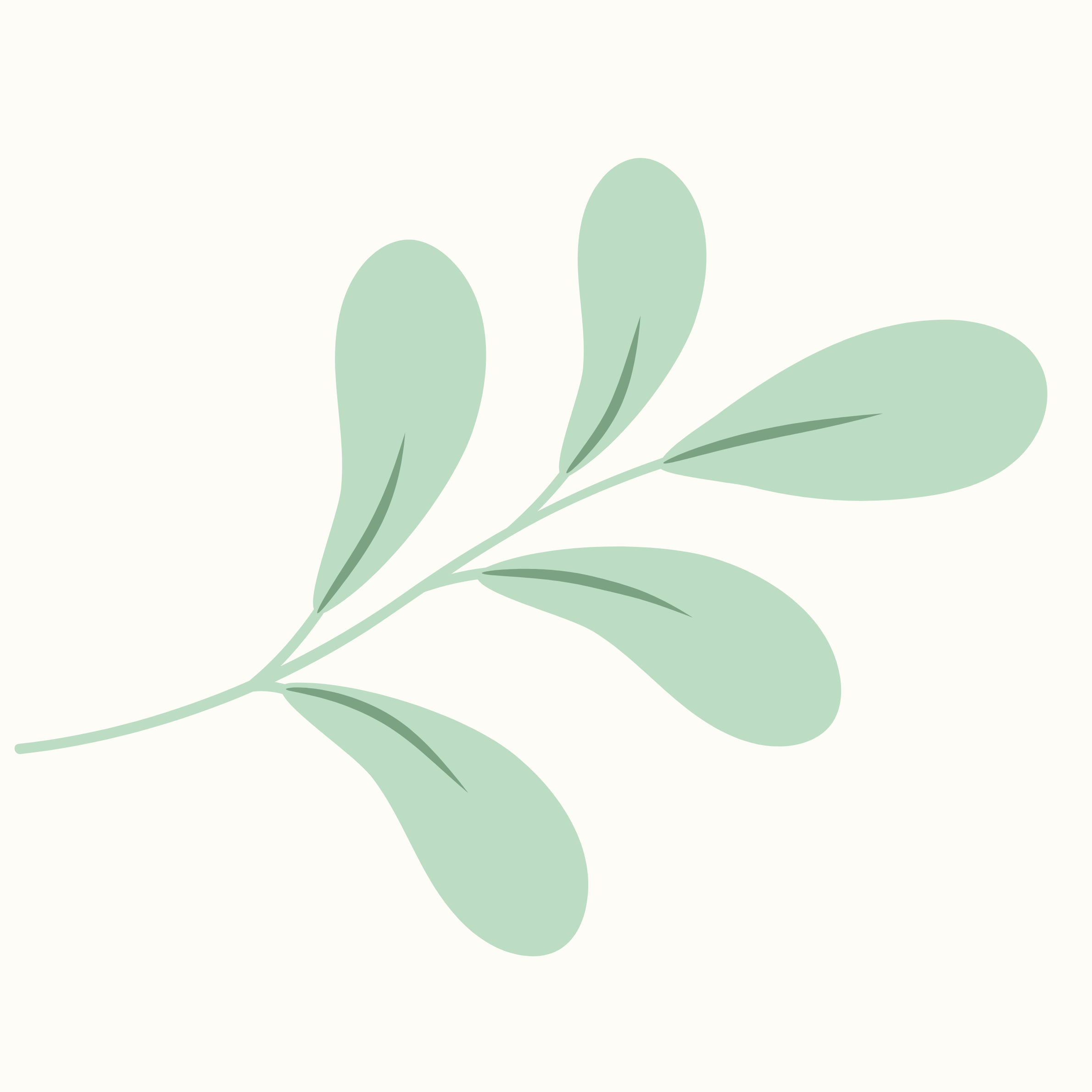 Image d'une plante